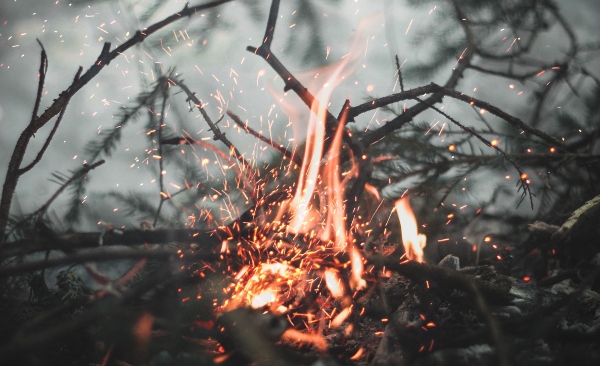 SFES warns of fines up to SR3000 for setting fire to undesignated places (Credit: Unsplash)