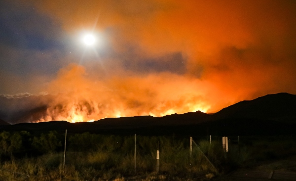 UN warns world to brace itself for more extreme wildfires in 2022 (Credit: Unsplash)