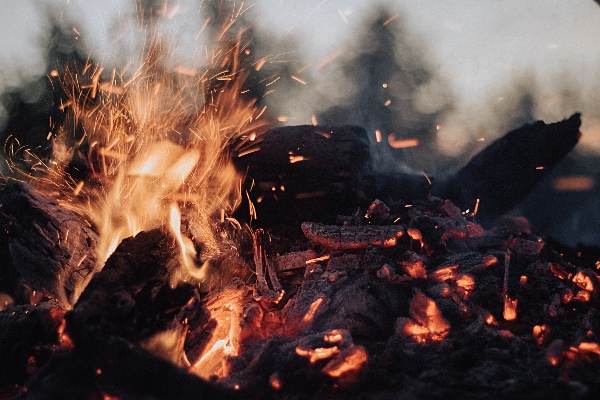 Saudi Arabia to issue SR3,000 fine for setting of fire in forbidden places. (Credit: Unsplash)