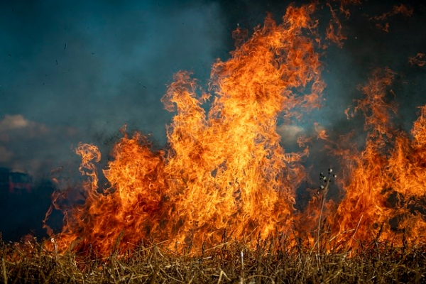 European Forest Fire report highlights three of the worst fire seasons on record. Credit: Pixabay
